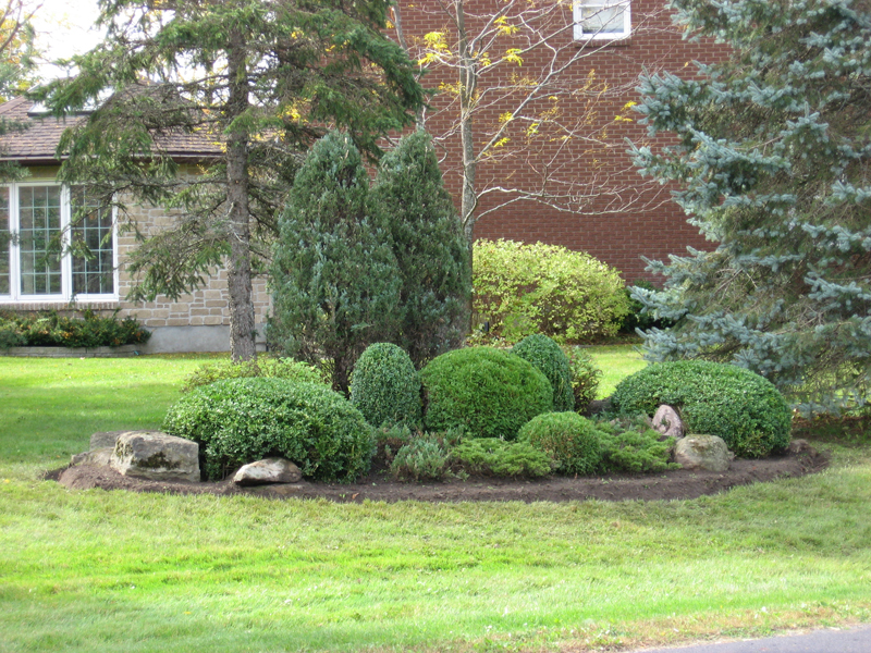 Topiary11