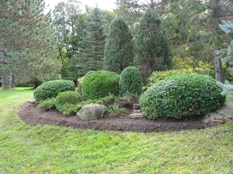 Topiary5