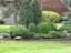 Topiary12