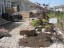 Landscape Glass Accents In soil in concreteNo Grass Back Yard