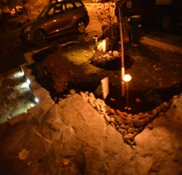 Lighting Ponds Plants